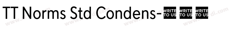 TT Norms Std Condens字体转换